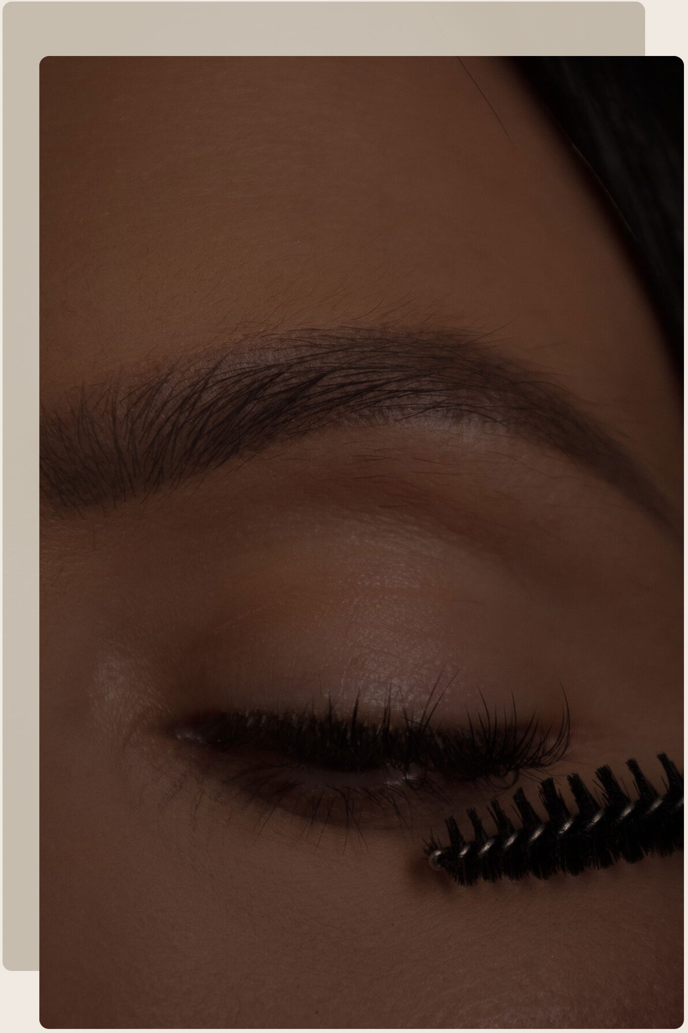 Brow and Lash photo